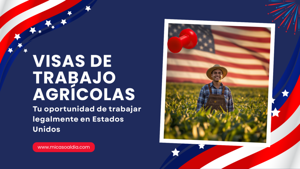 www.micasoaldia.com